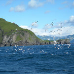 Kodiak Adventures Lodge Alaska fishing lodge image26