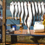 Kodiak Island Resort Alaska fishing lodge image2