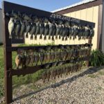 Lynn Lake Lodge  fishing lodge image6