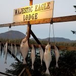 Majestic Eagle Lodge Alaska fishing lodge image1
