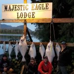 Majestic Eagle Lodge Alaska fishing lodge image12