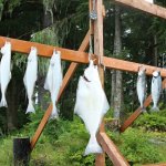 Majestic Eagle Lodge Alaska fishing lodge image7
