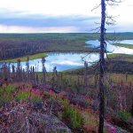 Milton Lake Lodge Saskatchewan fishing lodge image21