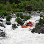 Morrison’s Rogue Wilderness Adventures & Lodge Oregon fishing lodge image15