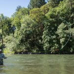 Morrison’s Rogue Wilderness Adventures & Lodge Oregon fishing lodge image12
