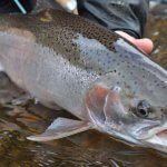 Morrison’s Rogue Wilderness Adventures & Lodge Oregon fishing lodge image3