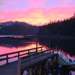 Naukati Bay Adventures Alaska fishing lodge image6