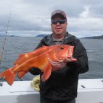 Naukati Bay Adventures Alaska fishing lodge image11