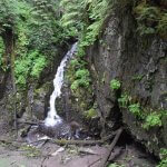 Naukati Bay Adventures Alaska fishing lodge image14