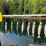 Nootka Cabins BC fishing lodge image17