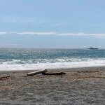 Nootka Cabins BC fishing lodge image20