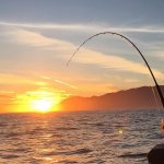 Nootka Cabins BC fishing lodge image14