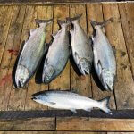 Nootka Sound Outpost BC fishing lodge image6