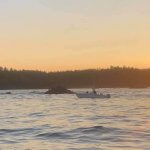 Nootka Sound Outpost BC fishing lodge image3