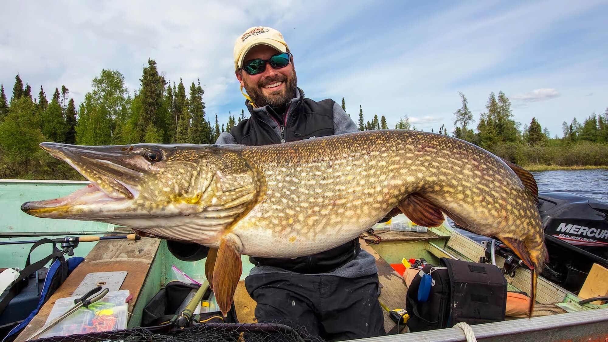 Canadian Northern Pike And Lake Trout Fishing Fishlodges