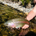 Northwoods Lodge Alaska fishing lodge image12