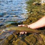 Northwoods Lodge Alaska fishing lodge image13