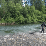 Northwoods Lodge Alaska fishing lodge image16