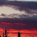 Nushagak King Salmon Safari Alaska fishing lodge image4