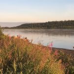 Nushagak King Salmon Safari Alaska fishing lodge image3