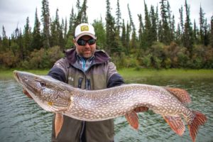 Trophy Northern Pike fishing trips