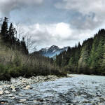 Deep Creek Lodge BC fishing lodge image21