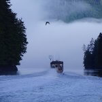 Queen Charlotte Safaris BC fishing lodge image4