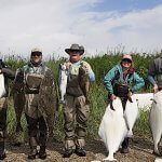 Rainbow King Lodge Alaska fishing lodge image43