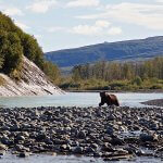 Rainbow King Lodge Alaska fishing lodge image35