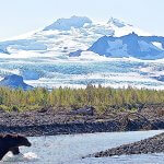 Rainbow King Lodge Alaska fishing lodge image33