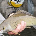 Rainbow King Lodge Alaska fishing lodge image29
