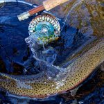 Rainbow King Lodge Alaska fishing lodge image10