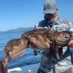 Reel Alaska Fishing Charters Alaska fishing lodge image2