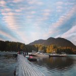 Rugged Point Lodge BC fishing lodge image37