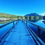 Rugged Point Lodge BC fishing lodge image41