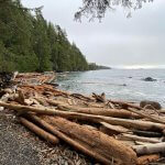 Rugged Point Lodge BC fishing lodge image42