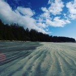 Rugged Point Lodge BC fishing lodge image43