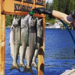 Rugged Point Lodge BC fishing lodge image11