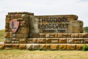 Stone carving honouring Teddy Roosevelt. Photo by Ryan Stone