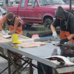 Salmon Catcher Lodge Alaska fishing lodge image20