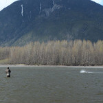 Skeena River Lodge BC fishing lodge image16