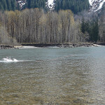 Skeena River Lodge BC fishing lodge image26