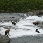 Denise Lake Lodge Alaska fishing lodge image16