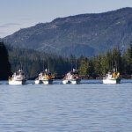 Sportsman’s Cove Lodge Alaska fishing lodge image10
