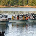 Sportsman’s Cove Lodge Alaska fishing lodge image7