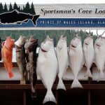 Sportsman’s Cove Lodge Alaska fishing lodge image6