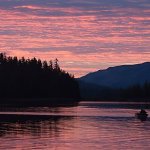 Sportsman’s Cove Lodge Alaska fishing lodge image5