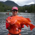 Sportsman’s Cove Lodge Alaska fishing lodge image4