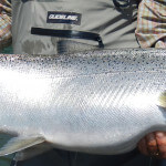 Deep Creek Lodge BC fishing lodge image48