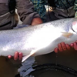Deep Creek Lodge BC fishing lodge image41